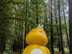 -日照海滨国家森林公园