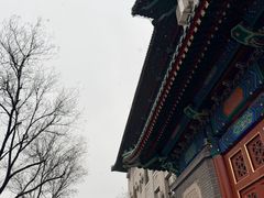 -大兴区体育中心游泳馆