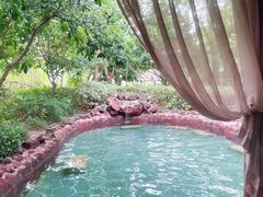 -苏州湾·王焰温泉