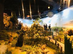 -陕西自然博物馆