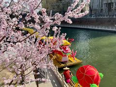 -皇家御河游(紫御湾码头)