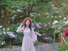 -北京植物园南门售票处