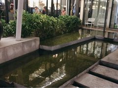 -大理老字号·舟渔的鱼野生菌海景餐厅(双廊店)