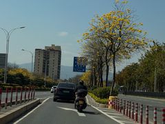 -灵玲国际马戏城