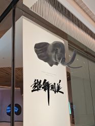 -YASAKI国际舞蹈中心