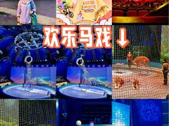 -上海马戏城