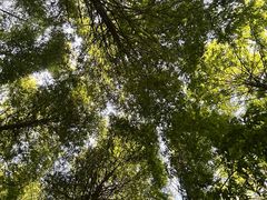 -山王坪喀斯特国家生态公园