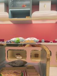 -奈尔宝·儿童乐园·亲子餐厅(苏州大悦城店)