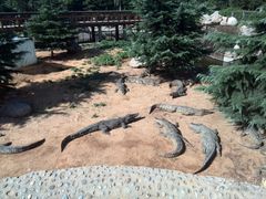 -石家庄市动物园