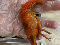 -江城燕子大排档(江汉路步行街店)