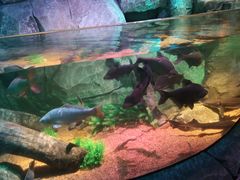 -沈阳海洋探索中心