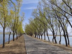 -野鸭湖国家湿地公园