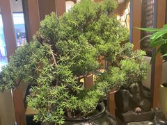 -湊湊火锅·茶憩(和平大悦城店)