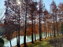 -尚贤河湿地