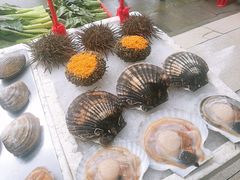-蚝专家(北滘店)
