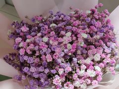 -佳雯宠物医院·皮肤科·内外科(春晓路分院)