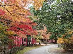 -醍醐寺