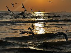 -老虎石海上公园