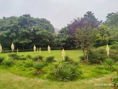 -云龙湖旅游景区