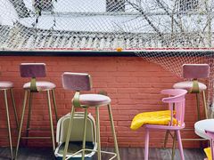 -喵屿·大理花园猫咖