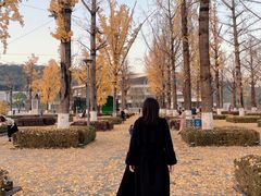 -百林公园-两江幸福广场