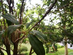 -白塘生态植物园