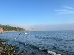 -银沙滩浴场