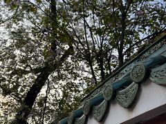 -仁信双皮奶(庙前直街店)