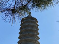 -古塔公园