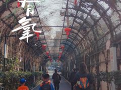 -杭州半山国家森林公园