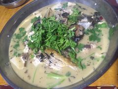 -史记安仁鱼头(浙闽赣食用菌交易中心店)