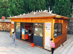 -龙口南山旅游景区