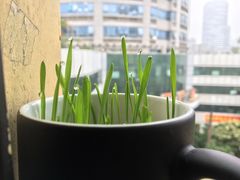-文星酒店(广州北京路步行街海珠广场地铁站店)