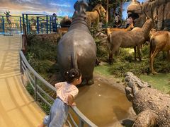 -陕西自然博物馆