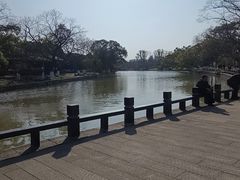 -江心屿景区