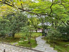 -西芳寺(苔寺)