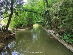 -上海滨江森林公园