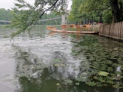 -东湖落雁景区
