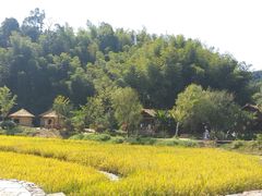 -常德桃花源景区