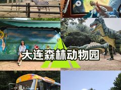 -大连森林动物园