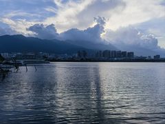 -洱海月湿地公园