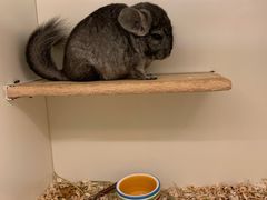 -龙猫仔乐园(惠福东路店)