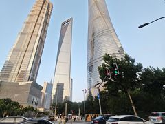 -乐忻皇朝(上海中心大厦店)