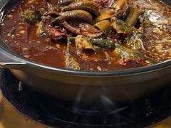 三角峰-金海椒罐罐鲢鱼(东方桂苑店)
