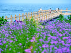 -渔岛海洋度假区