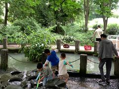-成都市活水公园