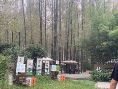 -林间山庄