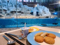 -帝企鹅自助餐厅•儿童岛•真企鹅(长隆企鹅酒店)