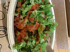 -油梨树AVOCADO TREE(望京店)
