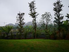 -枫香湖儿童公园